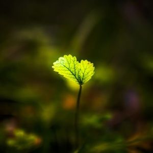 Meet your Posher, Markus